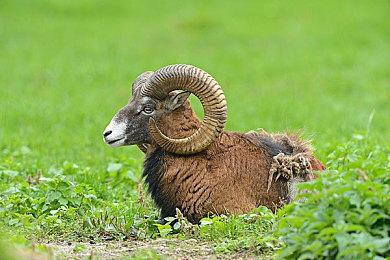 视觉小说《约会大作战：莲反乌托邦》2024年登陆Steam 支持中文