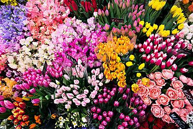 《蓝色火焰》7月9日登陆XB1 稍晚登陆PS4