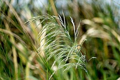 《潜行者2》开发商发生火灾 所幸没有人员伤亡