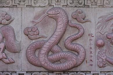 《金垦小镇Dinkum》评测：一场轻松自在的澳洲牧场梦